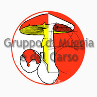 Associazione Micologica Bresadola -  Gruppo di Muggia e del Carso