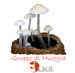 Lycoperdon dermoxanthum - ultimo messaggio di marinetto 