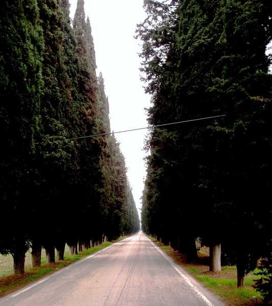 viale San Claudio.jpg