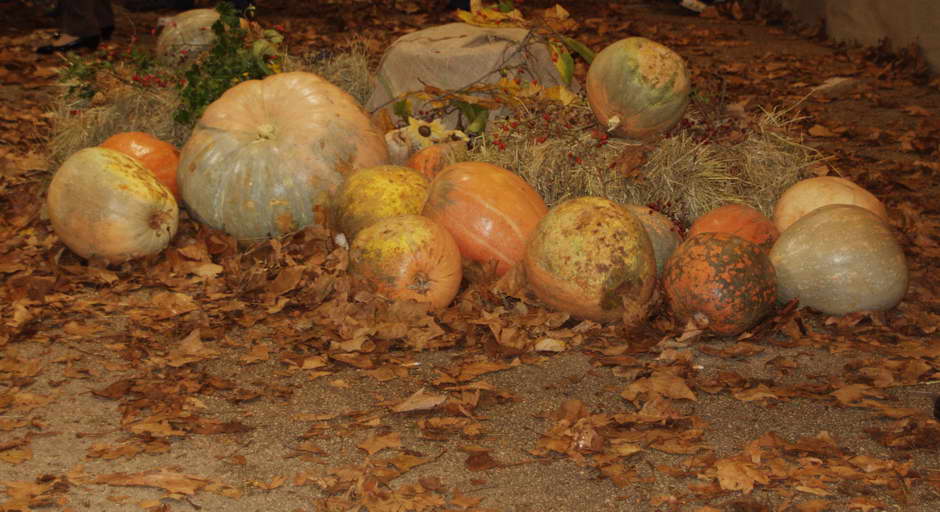 parenzo e verteneglio 42.jpg