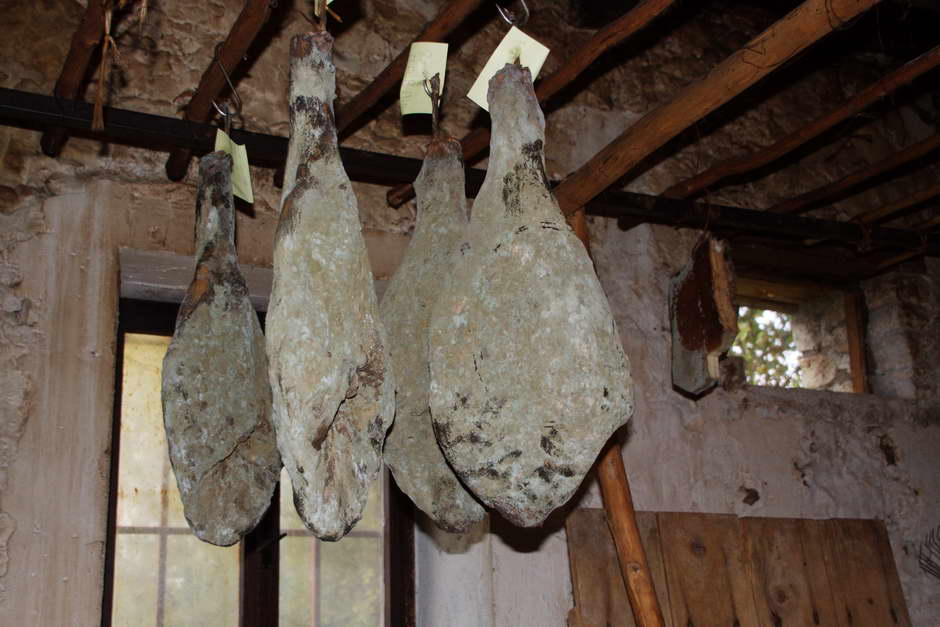 parenzo e dintorni  08.jpg