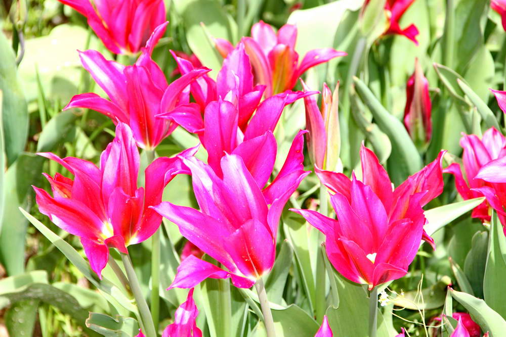 arboretum 48.jpg