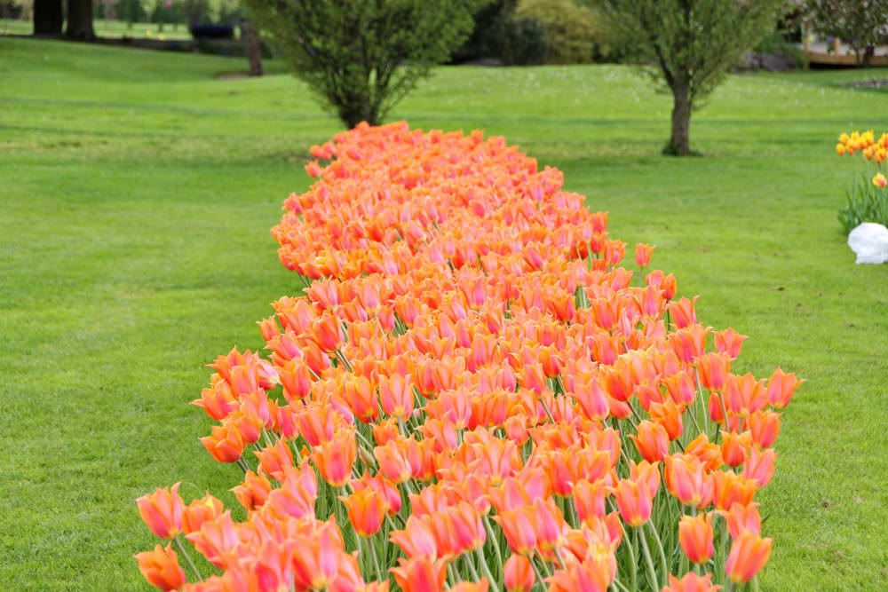 arboretum 13.jpg