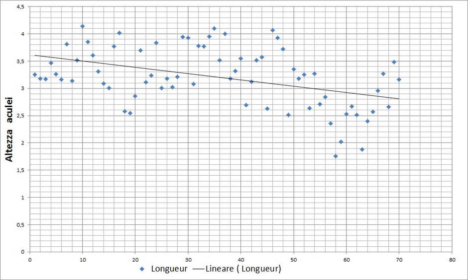 elaphomyces granulatus 4710 29.jpg
