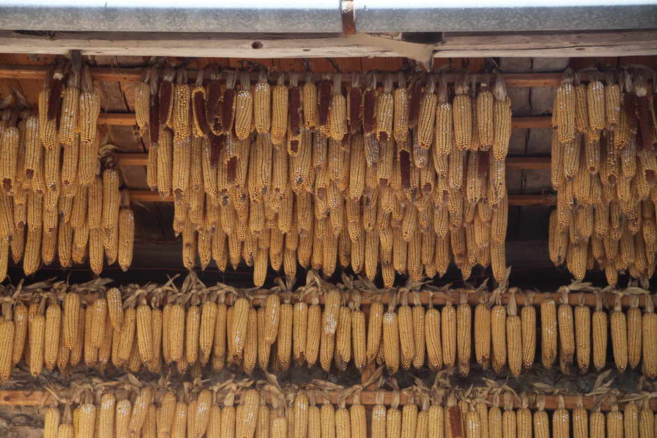 dobeno settembre 2011 15.jpg