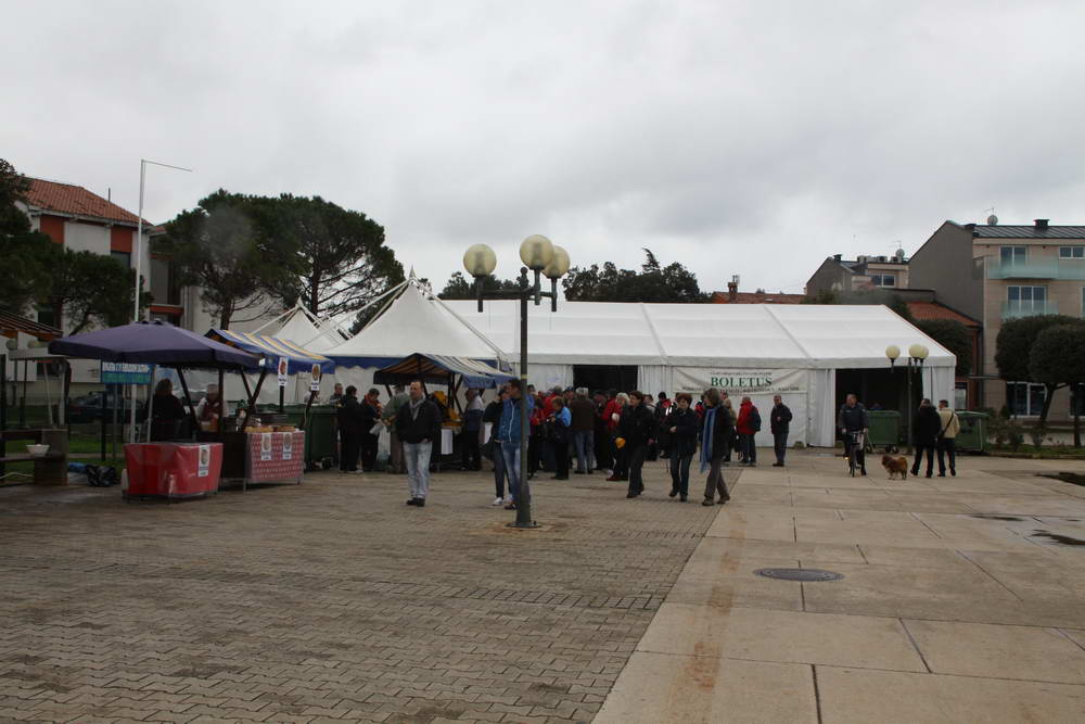 10-21-01EOS 50D643.JPG