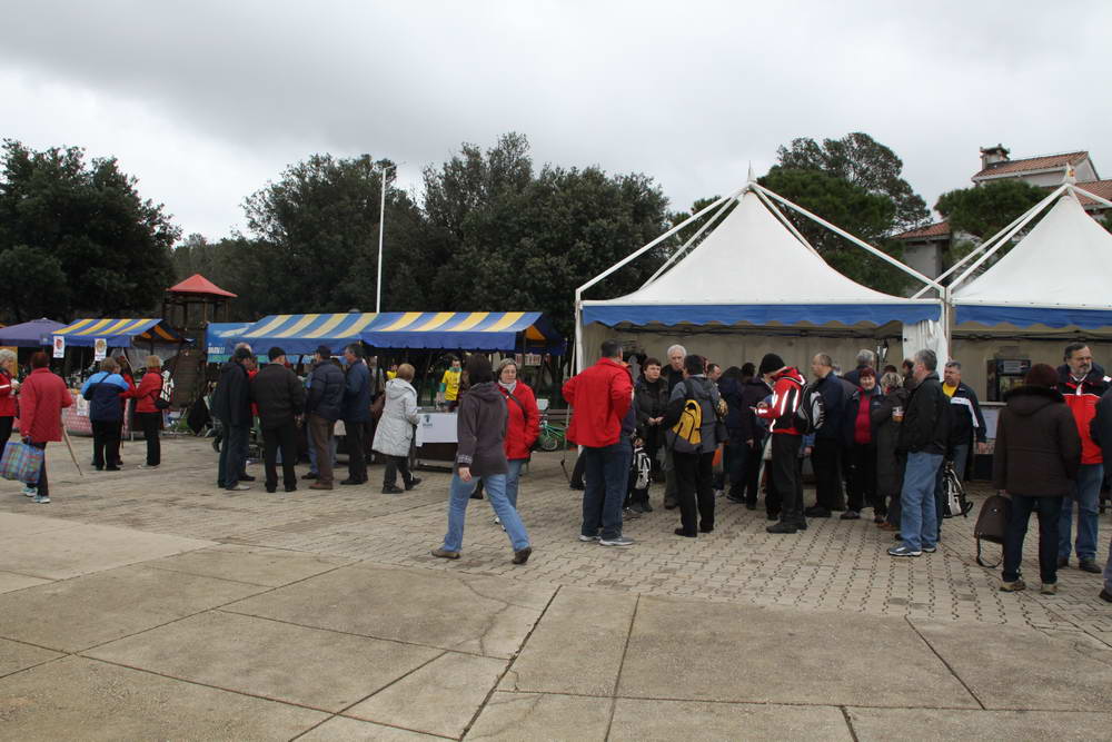 10-19-53EOS 50D641.JPG