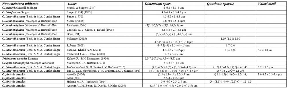Callistosporium tabella sporale Autori vari.jpg