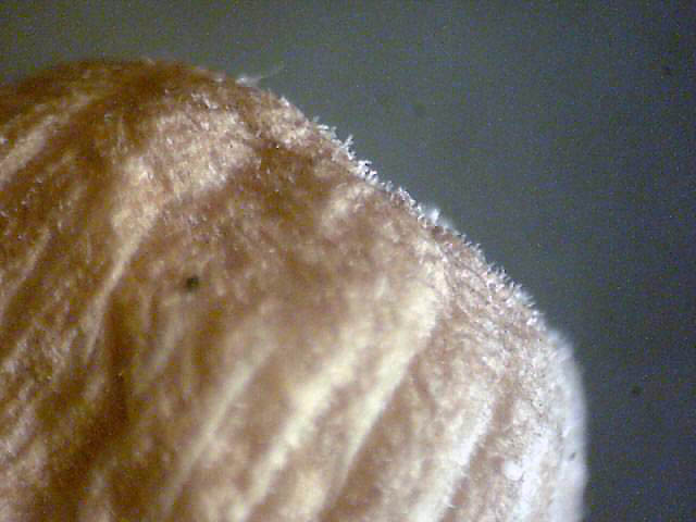 Immagine_06.jpg