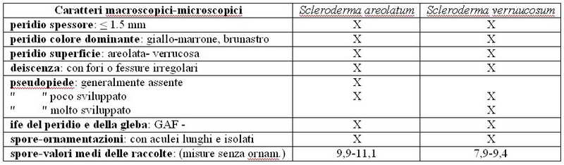 scleroderma_26.jpg