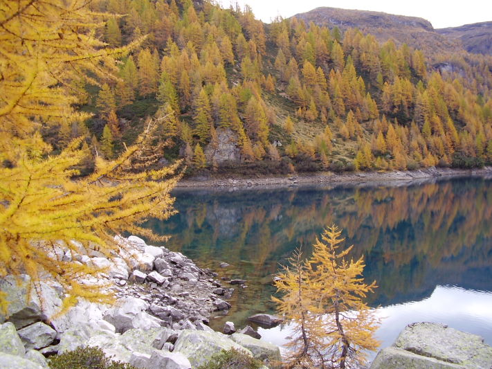 Parco Devero-Lago Devero verso Codelago.JPG