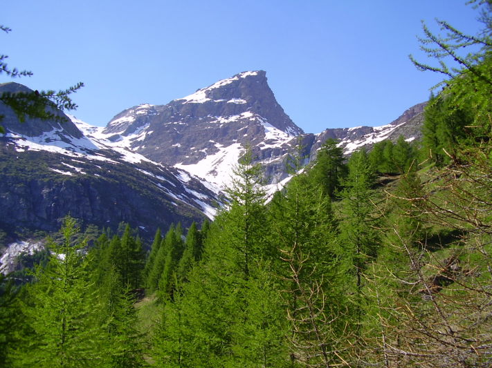 Parco Devero il picco della Rossa.JPG