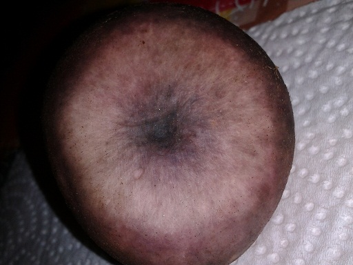 2015-09-22 20.11.35b.jpg