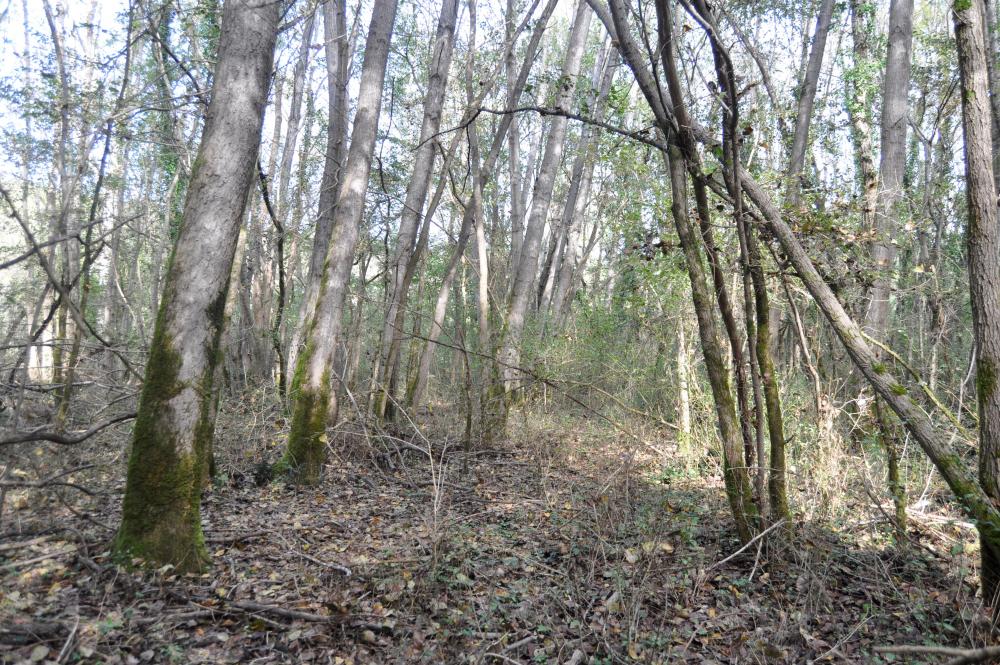 20.10.24 Habitat .JPG